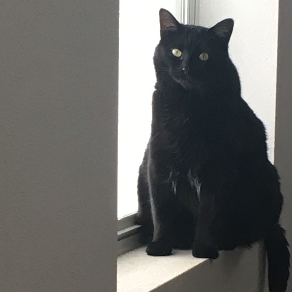 Meet your Posher, Mel - Picture 6 of 7